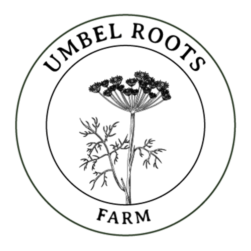Umbel Roots logo